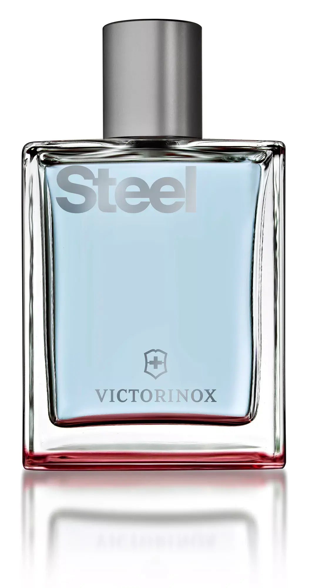 VICTORINOX STEEL EDT SPRAY MEN 100ML